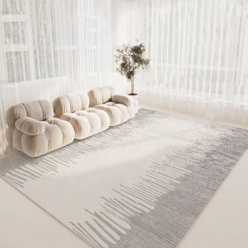 Frisence J[ybg 120×160cm 􂦂 O ~ߕt hEhEg[Ή O}bg ܂肽 RpNg[\  ӂӂ k rO Q qp FRIDT85