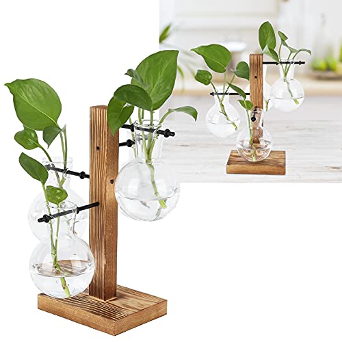 Vase hydroponique en verre avec support en bois, terrarium et station de propagation pour la maison ou le café (vase à 4 bulbes)