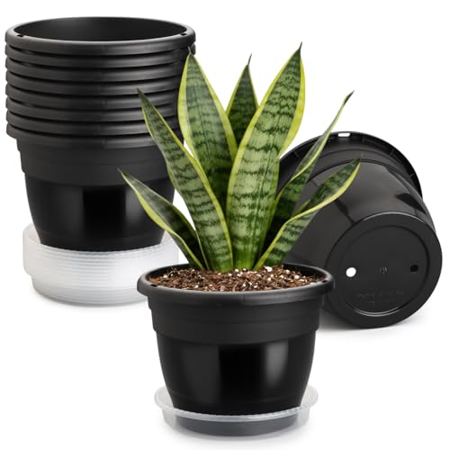 Image of 10 Pack 8 Inch Black Nursery Pots with Drainage Holes and Saucers