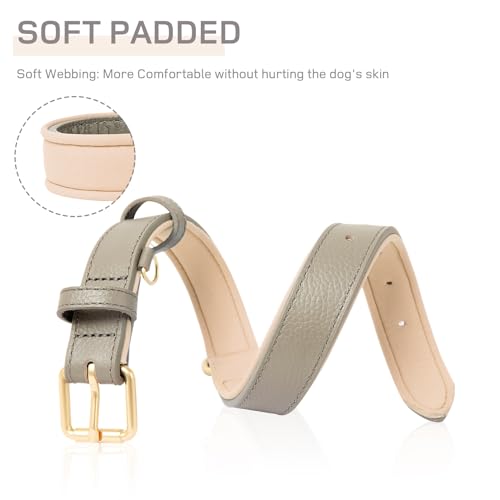 HEELE Soft Leather Dog Collar Breathable Padded with D Ring, New Pad Colour - Image 3