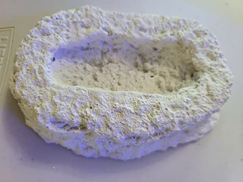 Image of Clam & Anemone Cradle - Holds Clams UP! - USA Reef Aquatics (White)