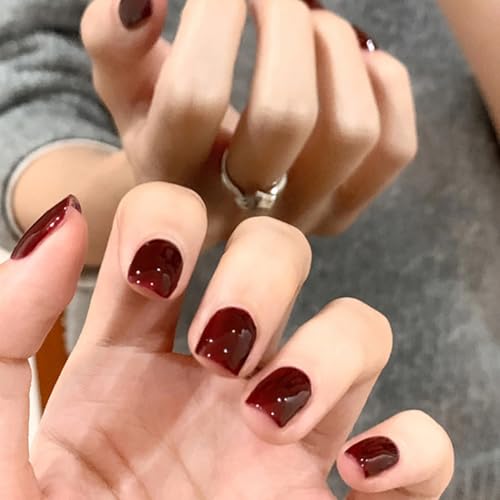 24 V[gXNGA k[hsN vXIlC t`J[܃Lbg tJo[ ANlC`bv XeBbNIlC  ̎q lCA[gfR[V