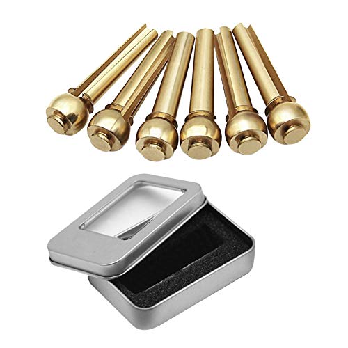 6{̃^AR[XeBbNM^[ubWsuXM^[́AR[sBC܂ M^[Ax[XȂǂ̂