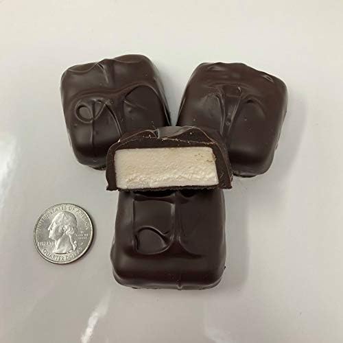 Gourmet Jumbo Vanilla Marshmallow Dark Chocolate Candy 1 pound
