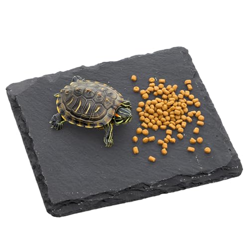 Alrhso Turtle Basking Platform Slate for Reptiles 3.9 X 3.9 Inch Tortoise Basking Stone for Reptiles Bearded Dragon Accessories for Lizards Chameleons Geckos Turtles Reptile