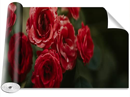 Papier peint moderne Tulup pour decoration murale de salon elegamment fleurie