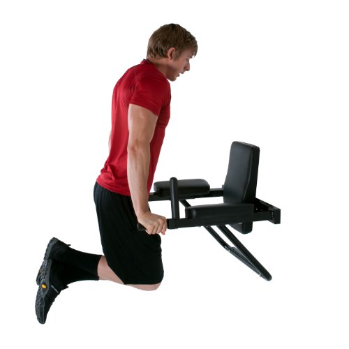 Ultimate Body Press Wall Mount Dip Station with Vertical Knee Raise