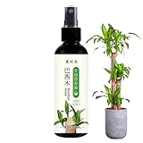 Glücksholz Pflanzendünger – Sanfte Flüssignahrung – 4,92 Zoll Flasche Brasilianisches Glücksholz | Hydroponischer Pflanzendünger | Pflegelösung Für Brasilianisches Holz Für Gesunde Blätter, Efeutute