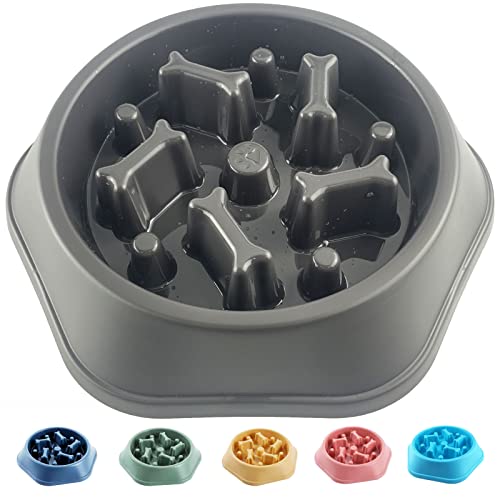 CAISHOW Slow Feeder Dog Bowl Anti Gulping Healthy Eating Interactive Bloat Stop Fun Alternative Non Slip Dog Slow Food…