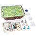 Santorini, Strategy Family Board Game 2-4 Players Classic Fun Building Greek Mythology Card Game, for Kids & Adults Ages 8 and up