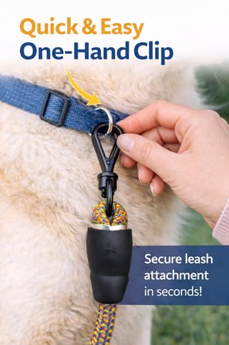Image of Sitnooze Dog Leash for Medium & Large Dogs, Heavy Duty 5.5 FT Nylon Rope Leash, Anti-Slip Padded Handle, Dog Training Leash, Strong Durable Walking Lead for Daily Use, Rope Leash