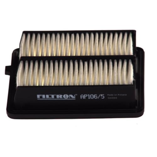 Filtron Filtre Ă air, ap106/5