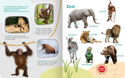 Mein großes Buch der Tiergeräusche: Mit 50 Sounds | Hochwertiges Soundbuch mit realistischen Tierstimmen für Kinder ab 2 Jahren (Mein großes Geräuschebuch)