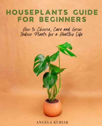 Houseplants Guide for Beginners: How to Choose, Care and Grow