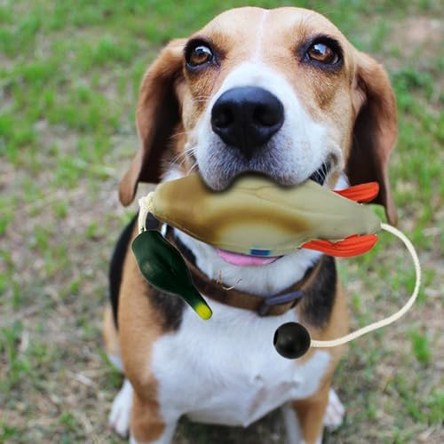 JINGAN Hunde-Stoßfänger zum Wasserholen, Enten-Stoßfänger-Spielzeug - Hunde-Retriever-Trainingsspielzeug | Jagdhundezubehör, Entenspielzeug für Hunde, Simulationstier in Form für Welpen