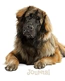 Journal: Leonberger