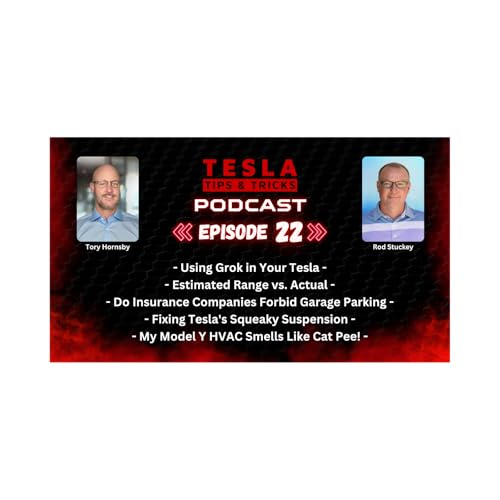 My Tesla Smells Like Cat Pee, Using Grok, Squeaky Suspensions & More - Tesla Tips Podcast E22