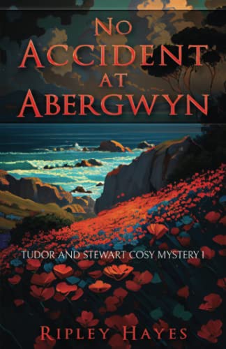No Accident at Abergwyn: Tudor and Stewart Cosy Mystery 1 (Tudor and Stewart Abergwyn Mysteries)