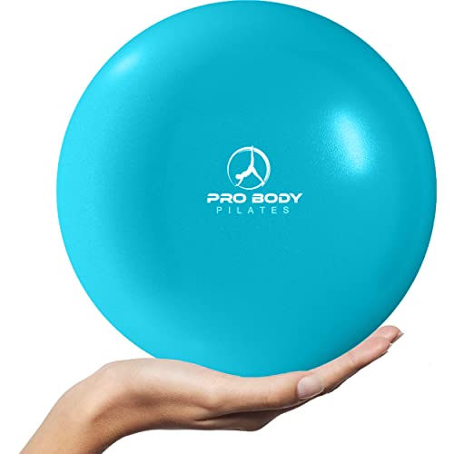 Mini ProBody Pilates Ball: 9 Inch Exercise Ball with Guide for Barre and Balance Workouts