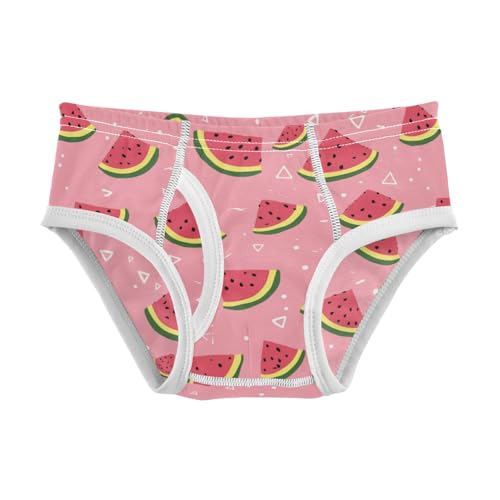 Wusikd Cute Watermelon Pink Boys' Underwear Cotton Boys Briefs Soft Toddler Underwear 2T