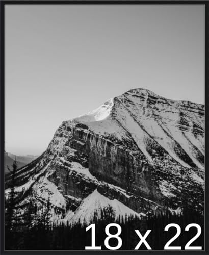 Frame It Easy 18 x 22 Satin Black Metal Frame (Ashford)