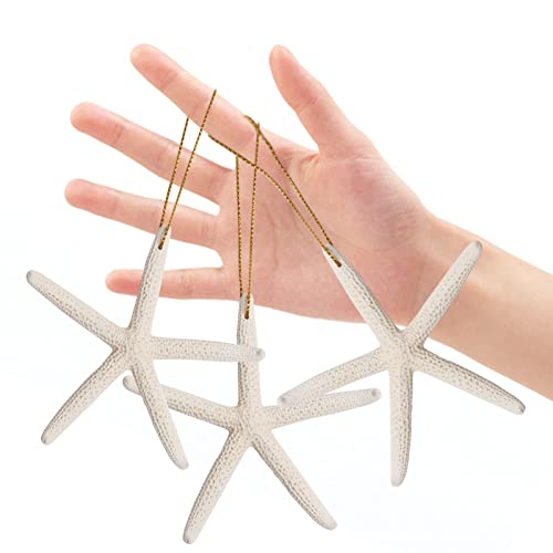 20 Pcs Christmas Starfish Ornaments 3-4'' Natural Starfish Ornaments, With Rope For Christmas Tree Hanging Ornaments Beach Theme Wedding Home Starfish Decor & Diy Crafts #TOP4