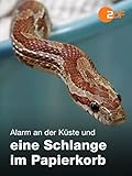 Alarm an der Küste und eine Schlange im Papierkorb