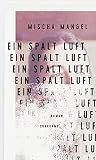 Ein Spalt Luft: Roman