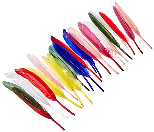 Rayher, 8525349, Native American Feathers, 10.5 cm, Bag of 24, Mixed Colours, Natural, Goose, Jewellery Feathers for Crafts
