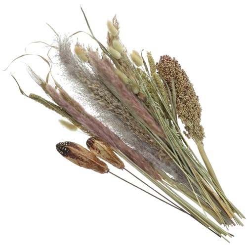 Ramo de Pasto Pampas Seco Decorativo Natural miniatura 1