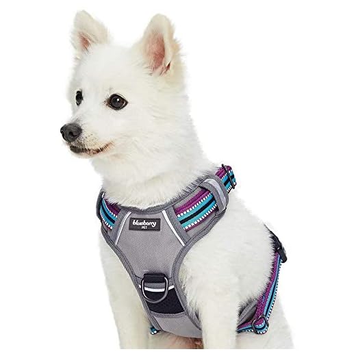 Eagloo Dog Harness Size Chart Eagloo No Pull Front Clip Large Dog Harness