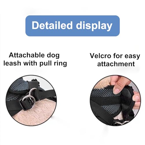 UrbanUp Hunderollstuhl Leichter, Verstellbarer Haustierwagen, Gehhilfe für Kleine und Mittelgroße Hunde für Corgis, Französische Bulldoggen, Rollstuhl für Behinderte/Verletzte Katzen(Size XS)