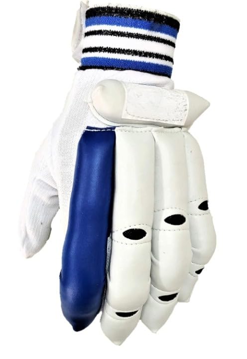 RS A1 Cricket Batting Gloves Pack of 1 (15+ Year Old) Full Size Batting Gloves for Adults (B0BSS8K6C1) Amazon Price History, Amazon Price Tracker