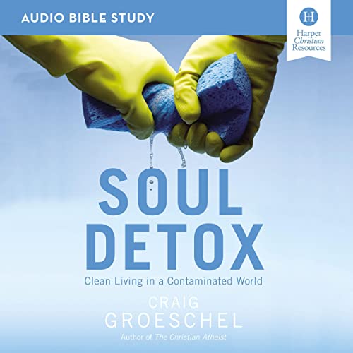 Soul Detox: Audio Bible Studies by Craig Groeschel episode artwork