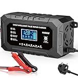 15Amp Car Battery Charger 12V/24V, 9-Stage Automatic Smart Battery Charger/Maintainer, Car Battery Repair and Desulfato for Car, Motorcycle, SUV, Truck, Boat, Lead Acid/Lithium/LiFePO4 Batteries