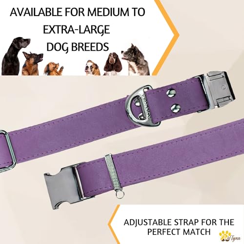 Image of ADITYNA Leather Dog Collar for Large & Extra Large Dogs, Adjustable 19-30 inch | Padded, heavy-duty metal buckle. Great for walking, training - ideal for Rottweiler, German Shepherd, Mastiff and Great Dane.