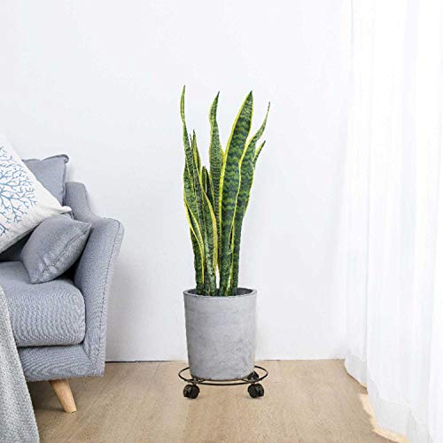 Pflanzenroller 4er Set - Metall Untersetzer Mit Rädern 27cm Schwarz