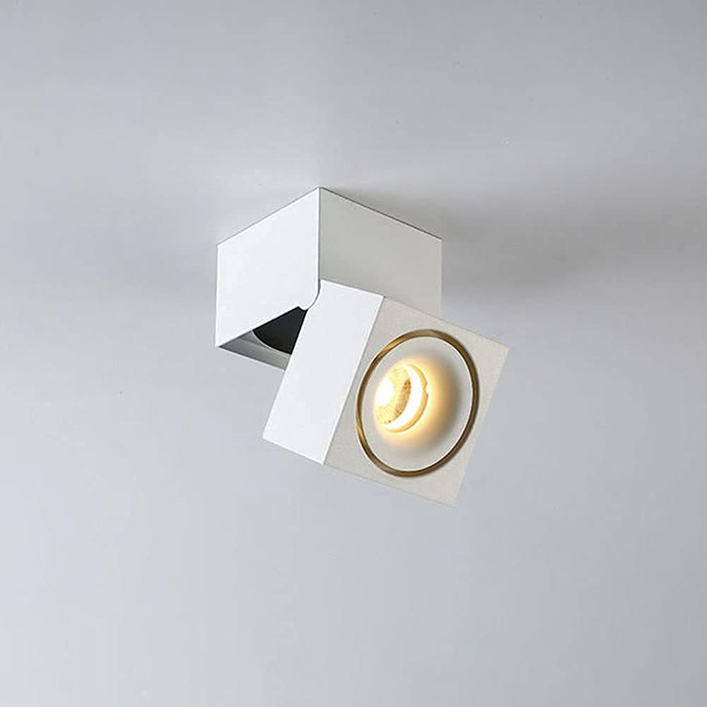 Spotlight de plafonnage de plafond réglable led éclairage intérieur sa