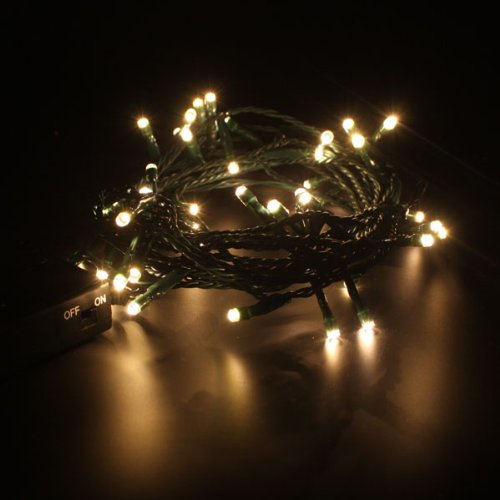 Christmas Direct Indoor Battery Operated Fairy Lights Warm White Green Cable 2m 20 bulbs Static — image 1