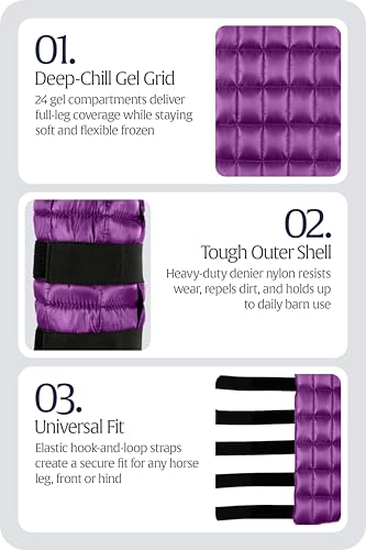 Equinavia Cool Relief Therapy Ice Boots Leg Wraps for Horses, Gel Pack with Adjustable Straps | 16.5\" x 15.5\" Single - Purple - Single - One Size