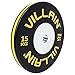 VILLAINトレーニングバンパープレート 15kg