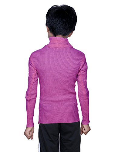 Image of IndiWeaves Boys Wollen Warm High Neck Full Sleeves T-Shirt /Inner /Skivvy for Winter (Pack of 2) Pink /Purple 14-16 Years 10110-0610-IW-P2-34