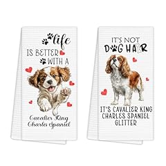 Cavalier King Charles Spaniel