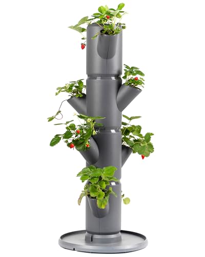 GUSTA GARDEN Sissi Strawberry Erdbeerbaum Starter Anthrazit - Hochbeet System Erdbeeren mit Standfuß - Garten & Balkon - 77 cm Höhe - 10L Erdvolumen