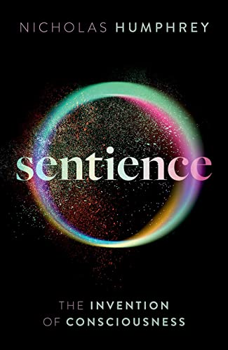 Sentience view 2
