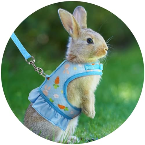 MMmall  n[lX [h pi ETM n[lX   e n[lX (u[, M)