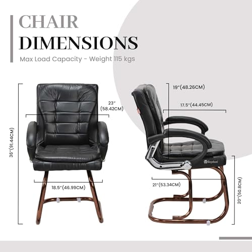 Image of GOYALSON Deluxe Cushioned Office Home Study Chair with Chrome Durable Frame and Cushioned seat Back (2, Black, Copper Coated Double Pipe Frame)