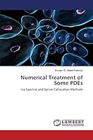 Numerical Treatment of Some PDEs 3659623180 Book Cover