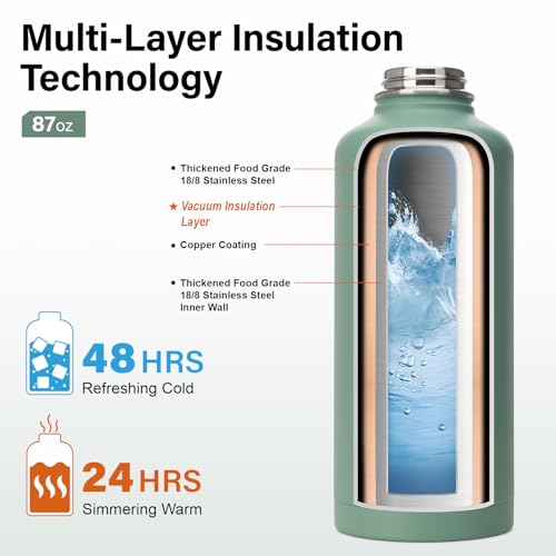 Insulated Water Bottle | Thickened Stainless Steel for Gym and Hiking with Straw, Carrier Bag, Handle Strap | BPA-Free 87 oz