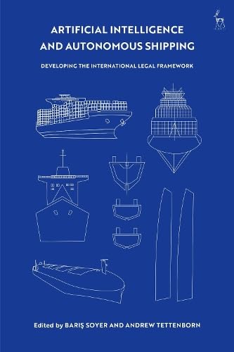 Buy Human rights responsibilities in the digital age, states, companies and individuals — BookShops.in